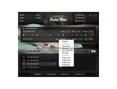 Native Instruments Session Guitarist - Electric Mint image 3