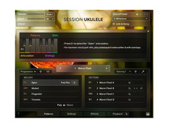 Native Instruments Session Ukulele image 2