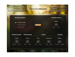Native Instruments Session Ukulele image 3