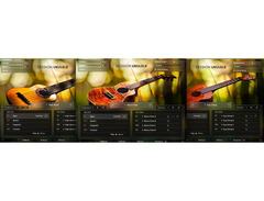Native Instruments Session Ukulele image 4