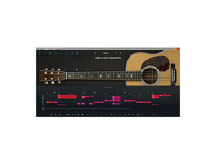 Ample Guitar M II image 3