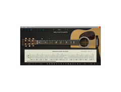 Ample Guitar M II image 4