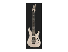 Ibanez Jiva X image 2