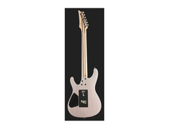 Ibanez Jiva X image 3