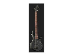 LTD F-205 image 2