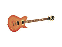 Washburn WI66 PRO image 2