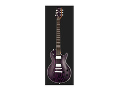 Harley Benton Ltd.  Agufish Signature Guitar image 2