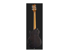 Harley Benton Ltd.  Agufish Signature Guitar image 3
