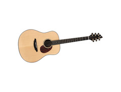 Breedlove AD20/SM image 2