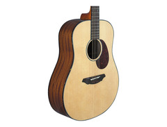 Breedlove AD20/SM image 4