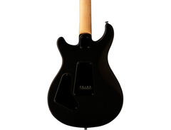 PRS SE LTD Sandblasted Swamp Ash image 2