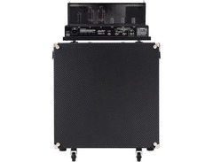 Ampeg Heritage B15N image 2