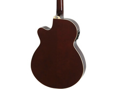 Epiphone PR-4E LE VS image 2