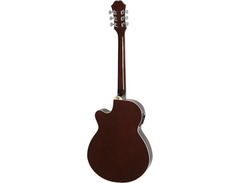Epiphone PR-4E LE VS image 4