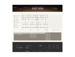 Native Instruments Yangqin image 2
