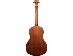 Ibanez PNB14E 01 Acoustic-Electric Bass Guitar image 4