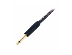 Roland RIC-G15 Gold Series image 2