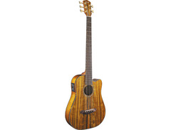 Fender Victor Bailey Acoustic Bass Signature image 3
