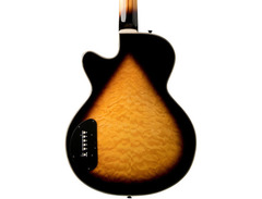 Washburn Ab45 image 2