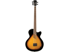 Washburn Ab45 image 3