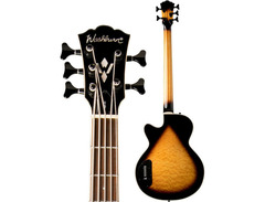 Washburn Ab45 image 4
