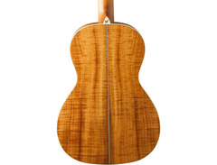 Washburn WP55NS Parlor Guitar image 2
