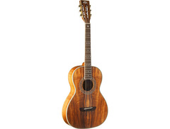Washburn WP55NS Parlor Guitar image 3