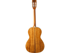 Washburn WP55NS Parlor Guitar image 4
