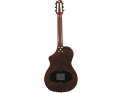 Variax Acoustic 300 Nylon image 2