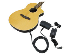 Variax Acoustic 300 Nylon image 4