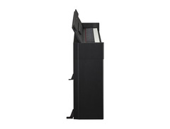 Yamaha ARIUS YDP-S51 (Black) image 4