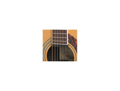 Epiphone Performer ME image 3