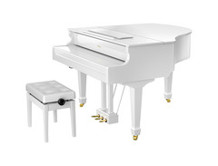 Roland GP609 image 2