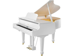 Roland GP609 image 3