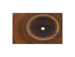 Paiste 12" RUDE Shred Bell image 4