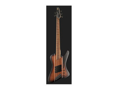 Dingwall Guitars D-Roc 5-string Electric Bass Guitar image 2