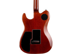 Godin Radium-X Rustic Burst w. Bag image 2