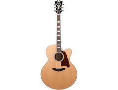 D'Angelico Premier Madison image 3