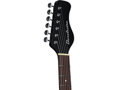 Coral Sitar image 4