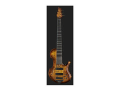 Marleaux Bassguitars Marleaux Contra 6 H. Jung image 2