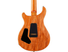 PRS Custom 24 Wood Library image 2