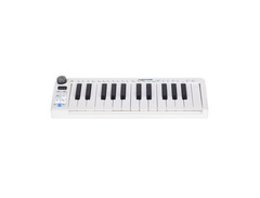 Swissonic MiniKey 25 image 2