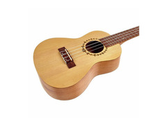 Bumblebee Ukuleles BUC22 Concert image 4