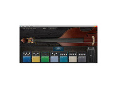 Ample Sound Ample Bass Upright III image 3