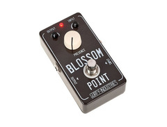 Surfy Industries Blossom Point image 3