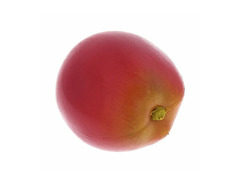 Nino Percussion Apple Shaker image 2