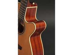 Takamine P3NC Pro Series w/Softcase image 2