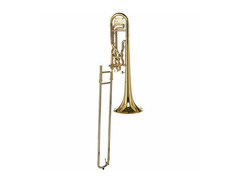 Schagerl Superbone image 2