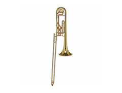 Schagerl Superbone image 3