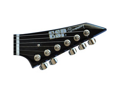ESP Guitars Metin Türkcan Metoboy Signature image 3